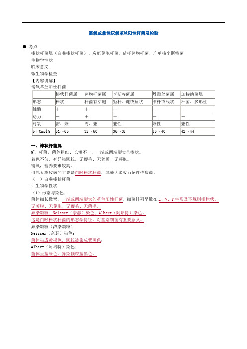 临床医学检验考试辅导《微生物检验》需氧或兼性厌氧革兰阳性杆菌及检验讲义