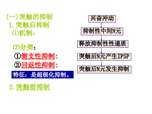 突触抑制概述