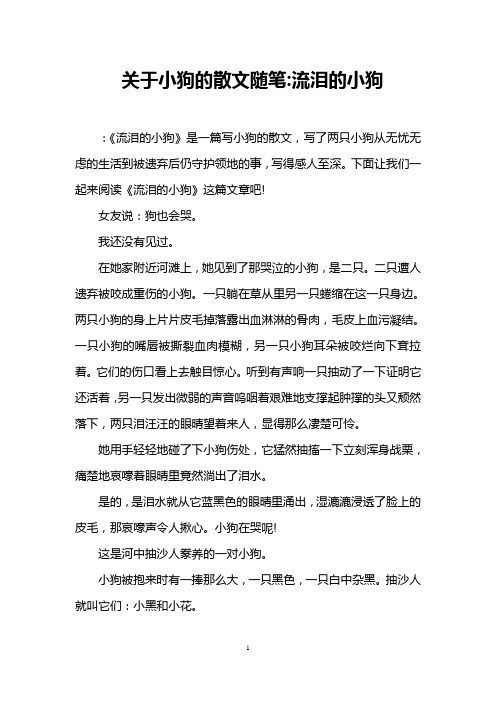 关于小狗的散文随笔-流泪的小狗