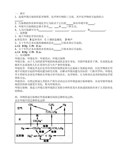 环境化学试题