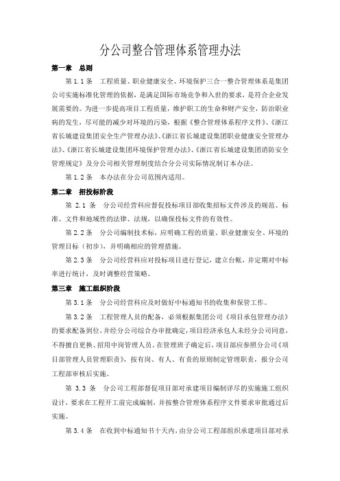 分公司整合管理体系管理办法