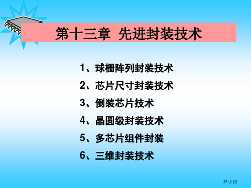 第十三章 先进封装技术