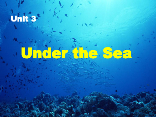 人教版高中英语选修7：Unit 3 Under the sea(6)