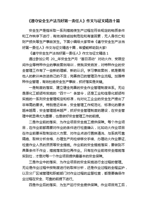 《遵守安全生产法当好第一责任人》作文与征文精选十篇