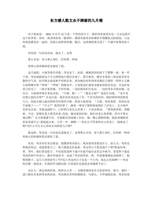 东方感人散文永不凋谢的九月菊