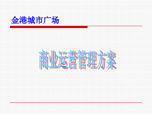 商业运营管理公司运营方案