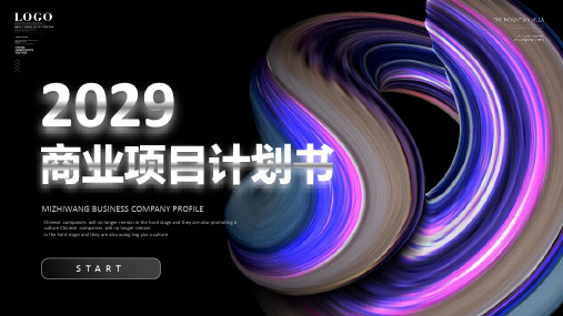 商业项目计划书PPT