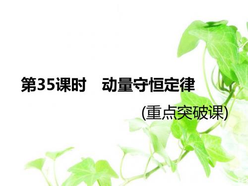 高2020届高中物理一轮复习课件第35课时 动量守恒定律(重点突破课)