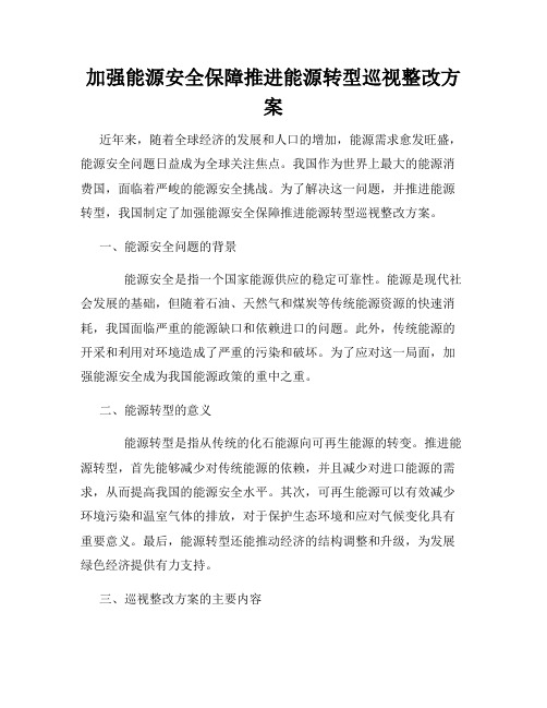 加强能源安全保障推进能源转型巡视整改方案