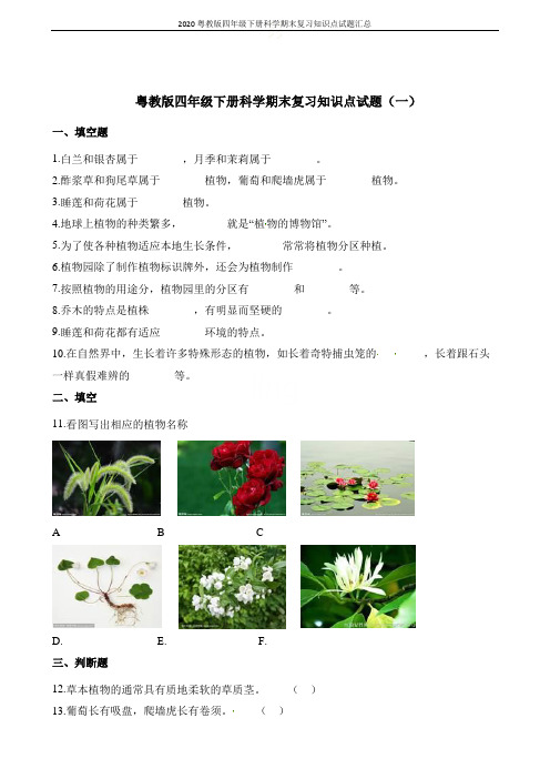 2020粤教版四年级下册科学期末复习知识点试题汇总