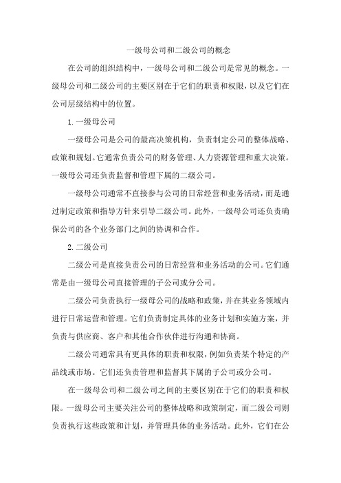 一级母公司和二级公司的概念