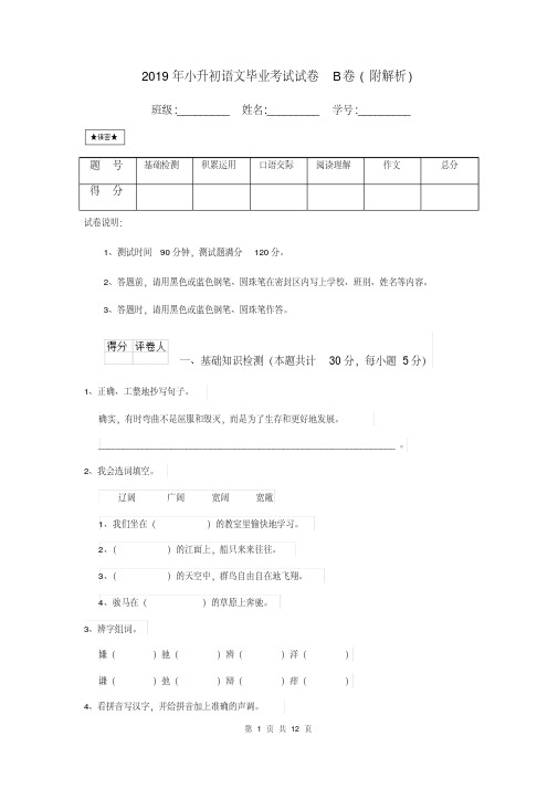 2019年小升初语文毕业考试试卷B卷(附解析)