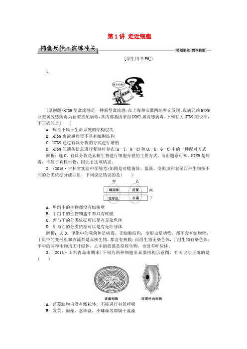 优化方案2017版高考生物大一轮复习 第一单元 细胞及分子组成 第1讲 走近细胞随堂反馈演练冲关