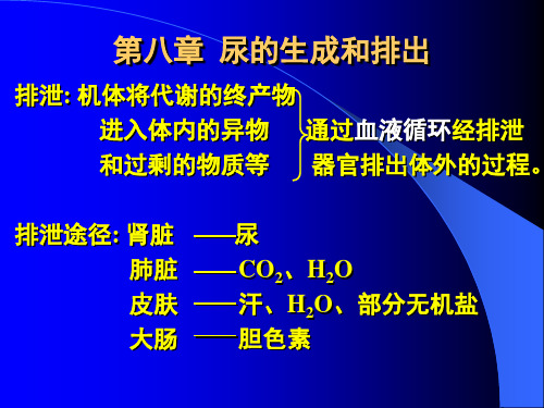 尿的生成和排出