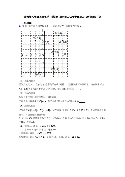 苏教版八年级上册数学 压轴题 期末复习试卷专题练习(解析版)(1)