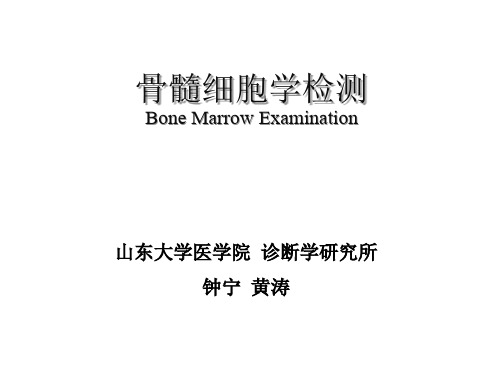 诊断学-实验室检查-实验室诊断-骨髓细胞学检查
