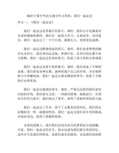 2023宁夏中考语文满分作文赏析：我们一起走过