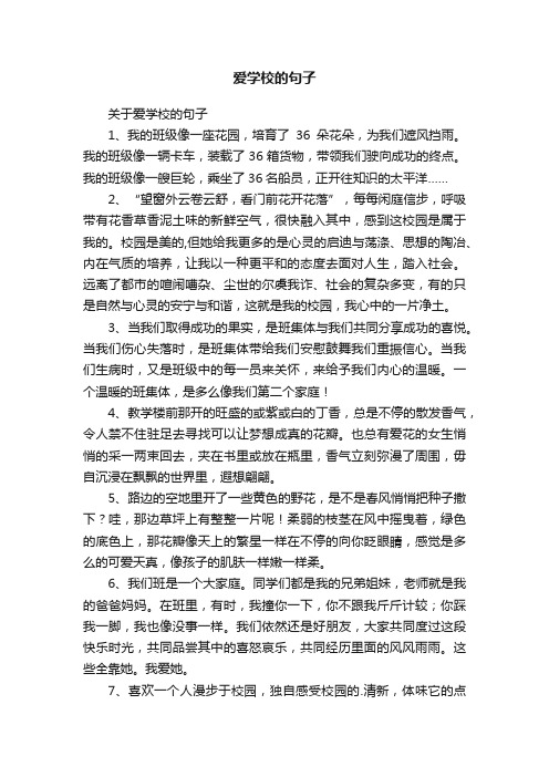 关于爱学校的句子