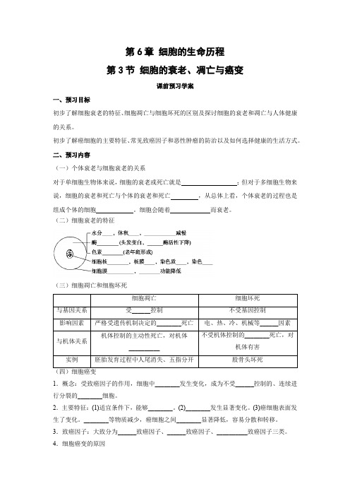 学案5：6.3 细胞的衰老、凋亡与癌变