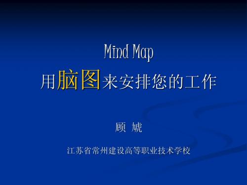 脑图(MIND MAPS)