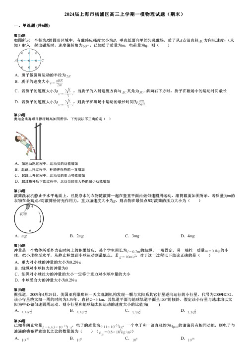 2024届上海市杨浦区高三上学期一模物理试题(期末)