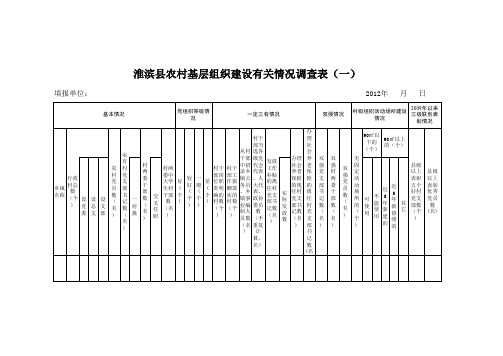 农村基层组织建设统计表