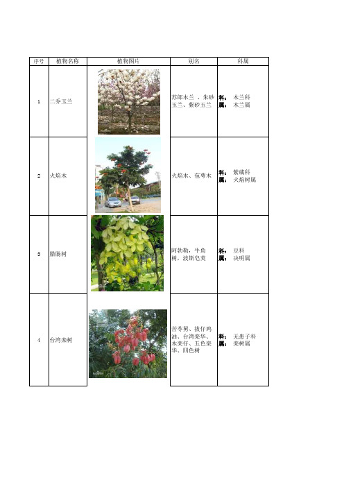 最系统的常用园林植物表——大花乔木