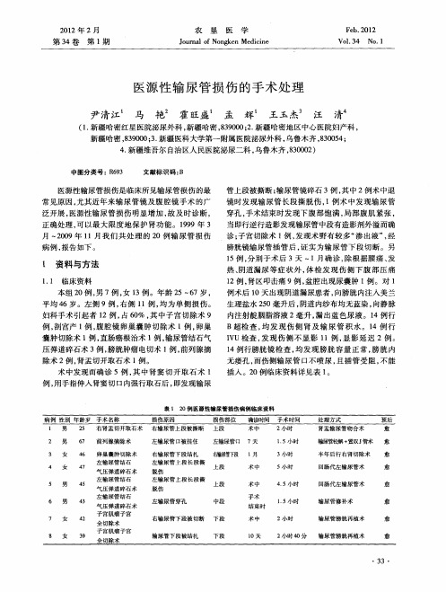 医源性输尿管损伤的手术处理