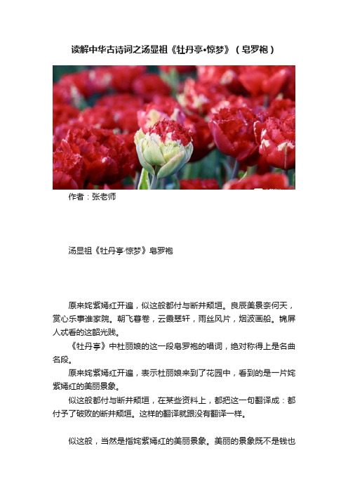 读解中华古诗词之汤显祖《牡丹亭?惊梦》（皂罗袍）