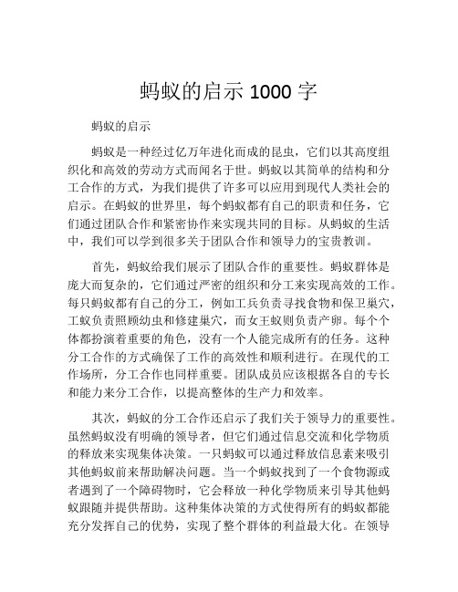 蚂蚁的启示1000字