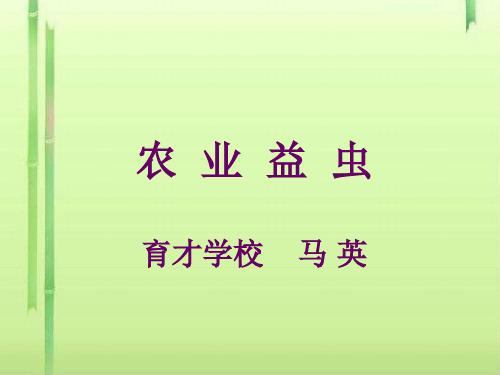 农业益虫PPT课件 课件