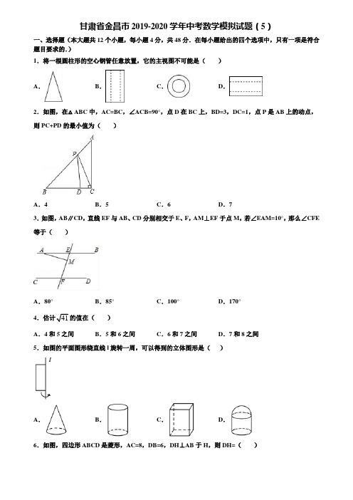 甘肃省金昌市2019-2020学年中考数学模拟试题(5)含解析