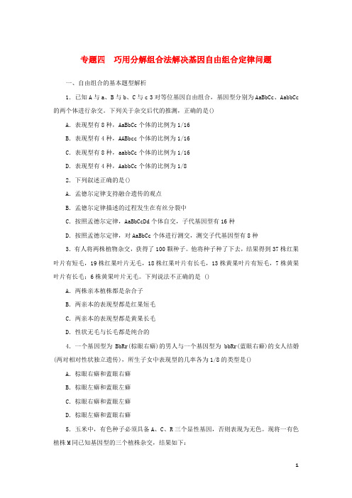 新人教版高中生物暑假专题突破训练专题四巧用分解组合法解决基因自由组合定律问题