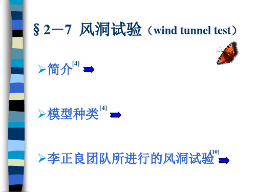 风洞试验