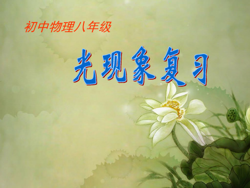 苏科初中物理八上《3第三章 光现象》PPT课件 (2)