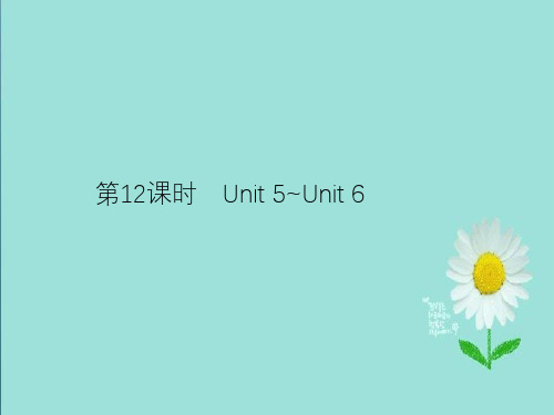 2019年中考英语总复习夯实基础第四部分八下第12课时Unit5_Unit6课件