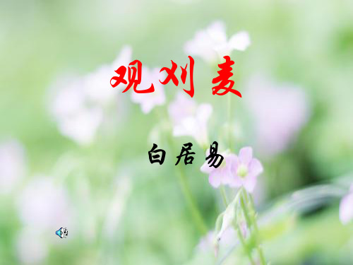 观刈麦PPT教学课件