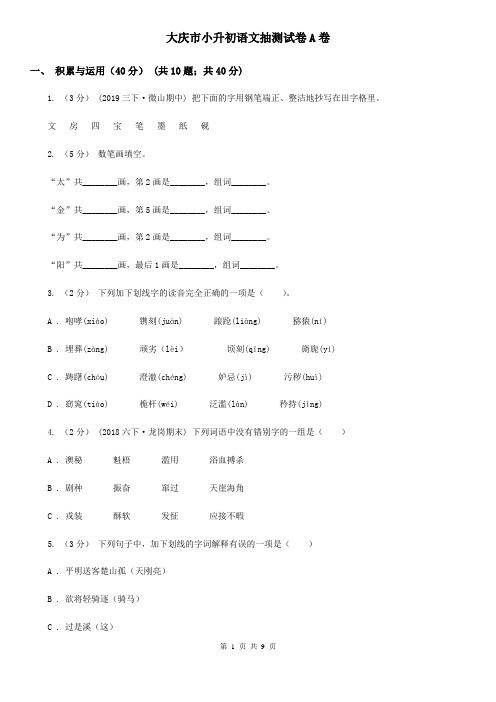 大庆市小升初语文抽测试卷A卷