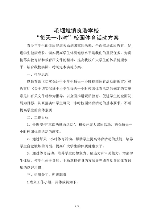 每天一小时校园体育活动方案及自查报告(良浩学校)