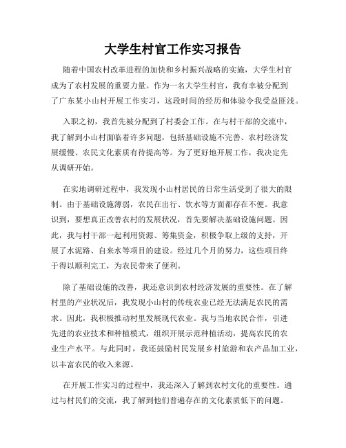 大学生村官工作实习报告