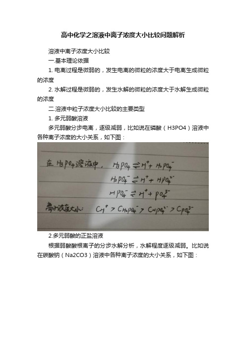 高中化学之溶液中离子浓度大小比较问题解析