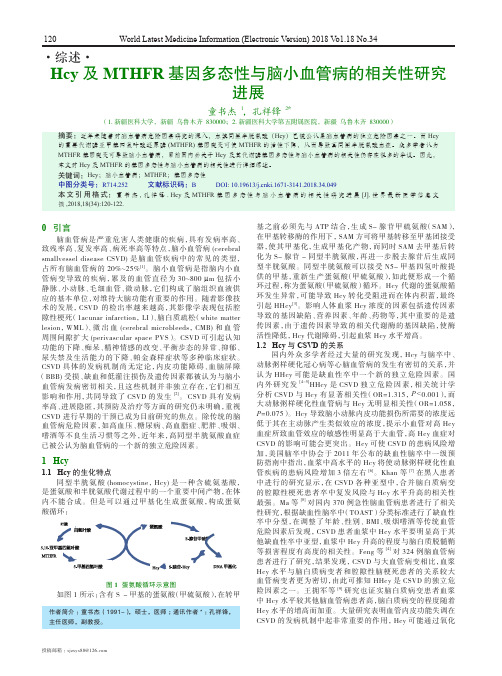 Hcy及MTHFR基因多态性与脑小血管病的相关性研究进展