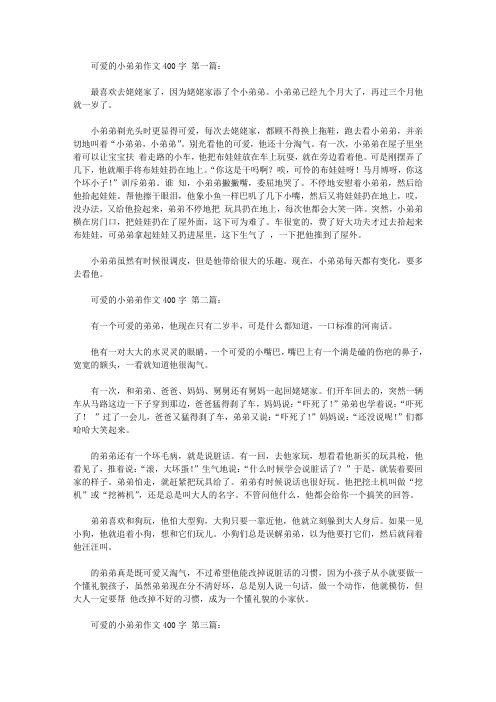 可爱的小弟弟作文400字(10篇)