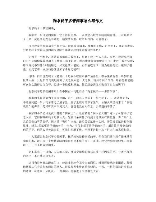 狗拿耗子多管闲事怎么写作文