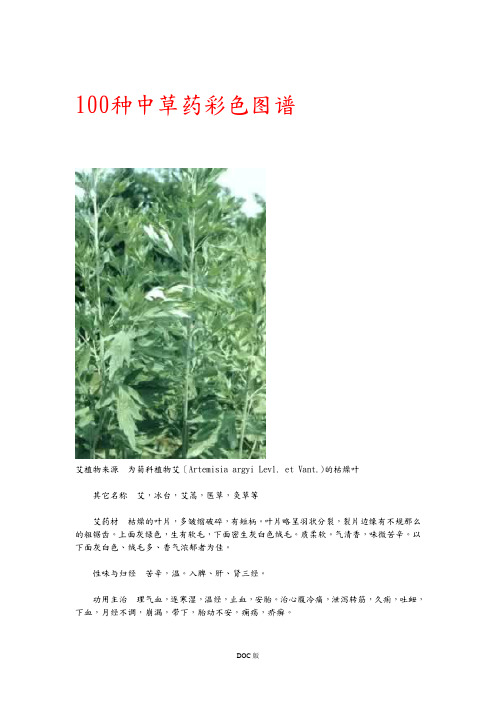 100种中草药彩色图谱