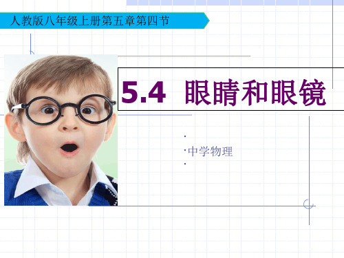 眼睛和眼镜说课PPT课件