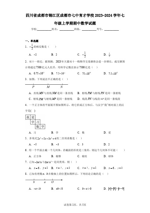 四川省成都市锦江区成都市七中育才学校2023-2024学年七年级上学期期中数学试题