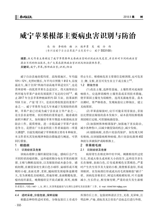 威宁苹果根部主要病虫害识别与防治