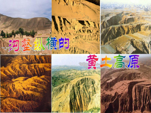 69沟壑纵横的黄土高原(公开课)PPT课件