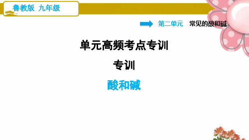 鲁教五四制九年级化学单元高频考点专训 专训 酸和碱ppt课件